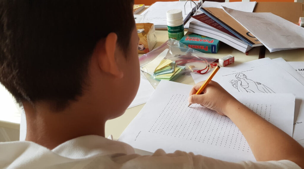 Homeschool While Traveling